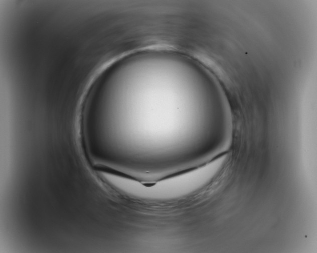 X0000092061375200709262020