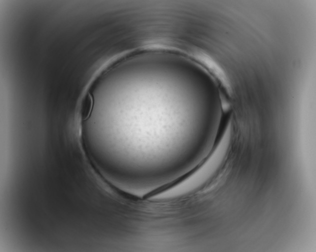 X0000092061376200709262020