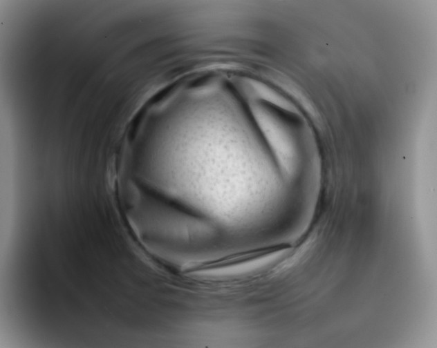 X0000092061377200709262020