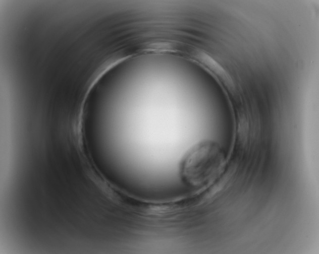 X0000092061378200709262020