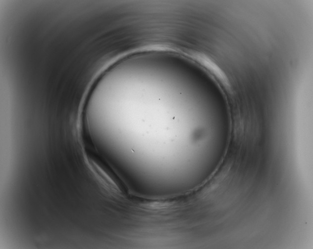 X0000092061380200709262020