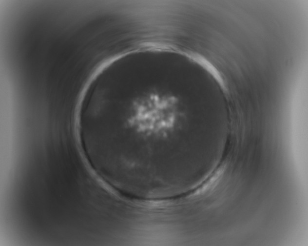 X0000092061381200709262020