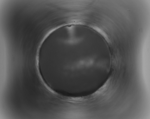 X0000092061383200709262020