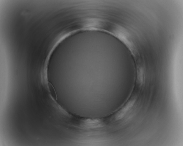 X0000092061384200709262020