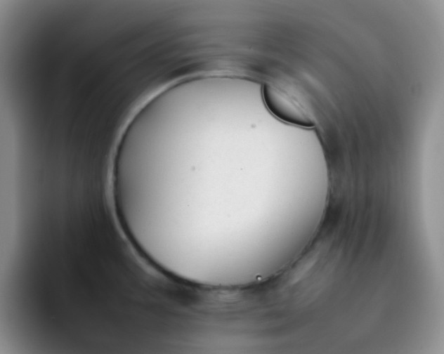 X0000092061387200709262020