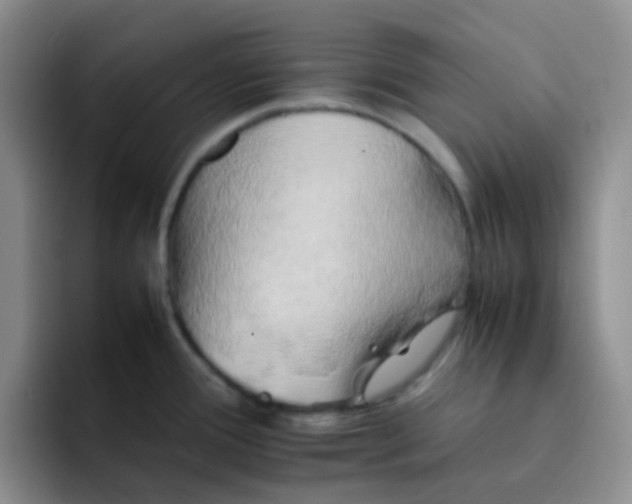 X0000092061388200709262020