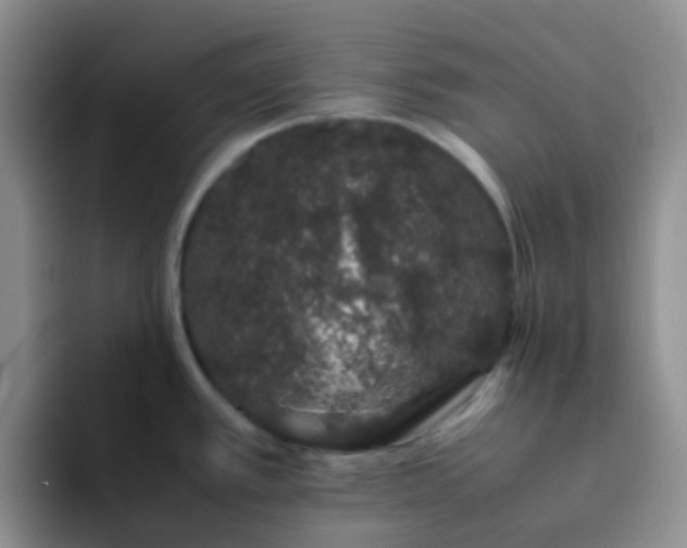 X0000092061389200709262020