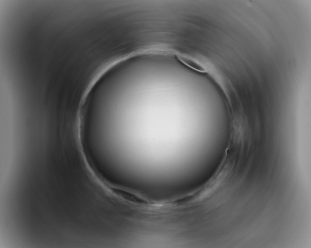 X0000092061390200709262020