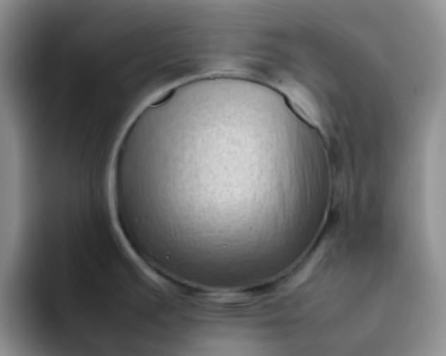 X0000092061391200709262020