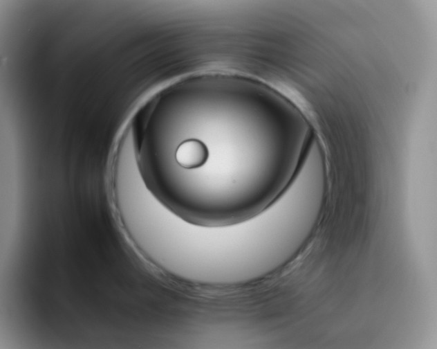 X0000092061392200709262020