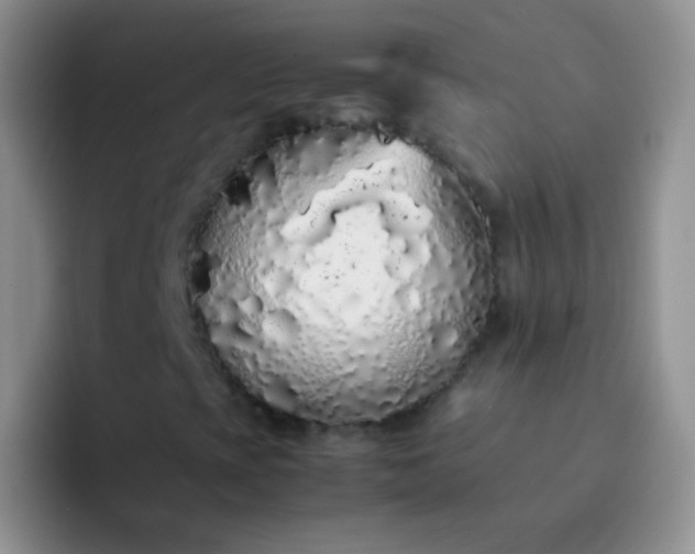 X0000092061393200709262019