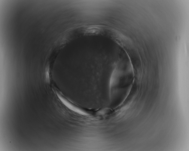 X0000092061394200709262019