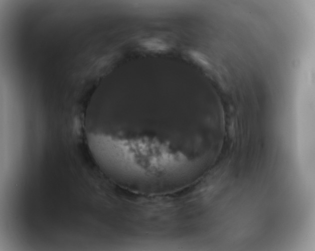 X0000092061397200709262019