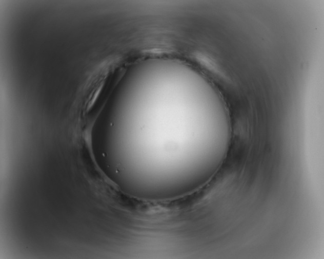 X0000092061398200709262019