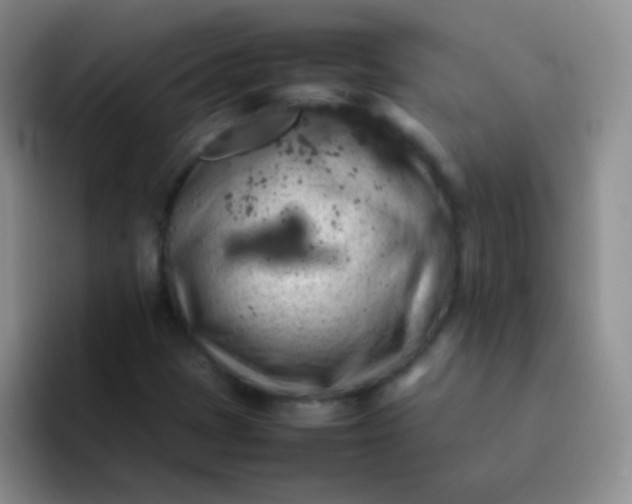 X0000092061401200709262019