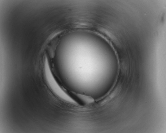 X0000092061402200709262019