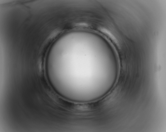 X0000092061403200709262019