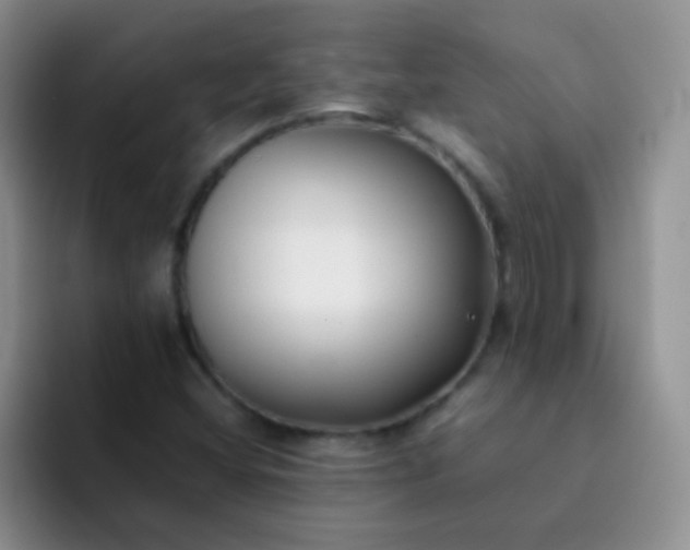 X0000092061404200709262019