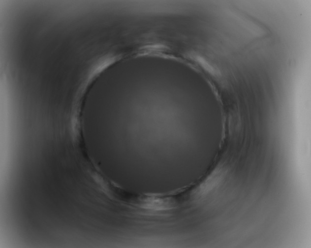 X0000092061405200709262019