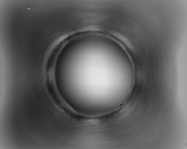 X0000092061406200709262019