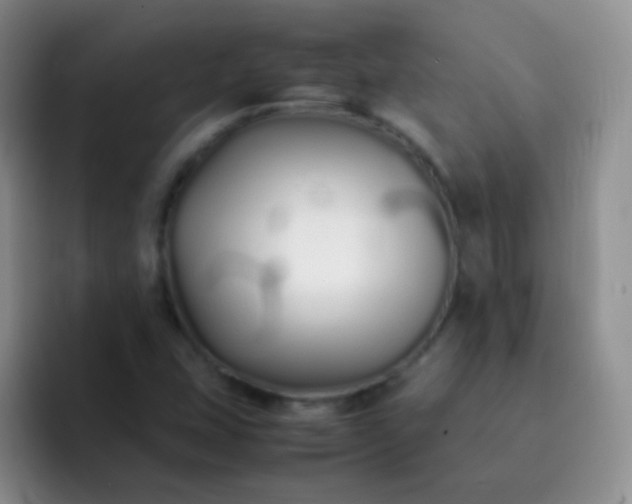 X0000092061407200709262019