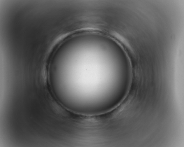 X0000092061408200709262019