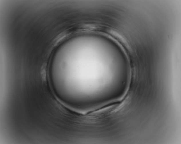 X0000092061409200709262019