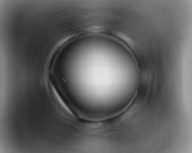 X0000092061410200709262019