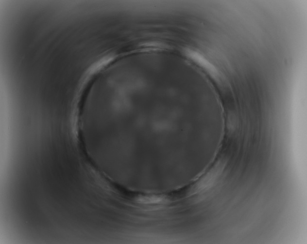 X0000092061411200709262019