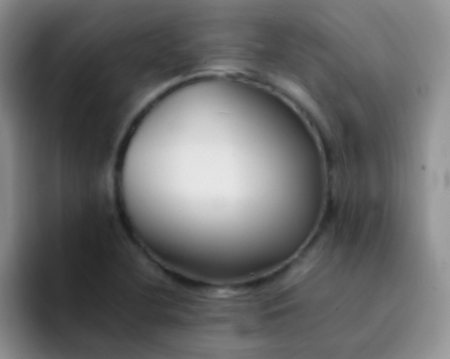 X0000092061412200709262019