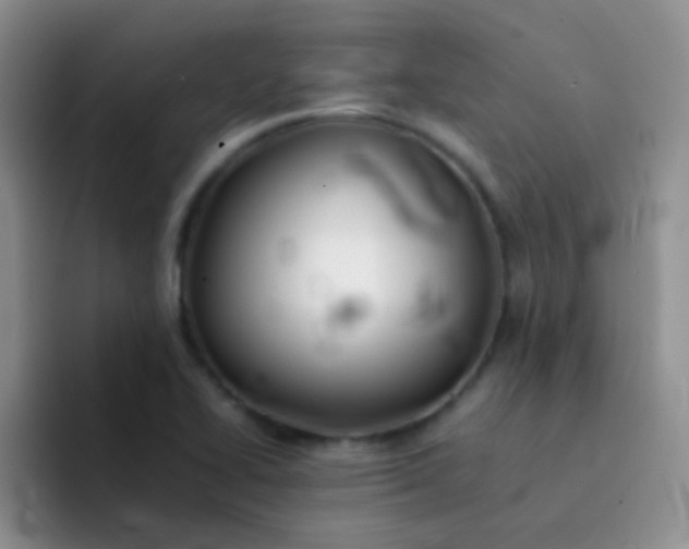 X0000092061414200709262019