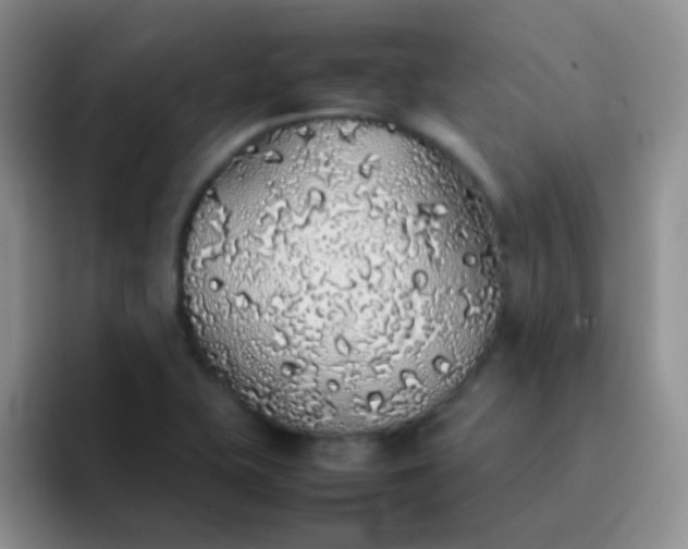 X0000092061415200709262019