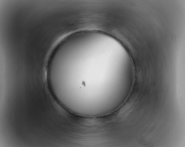 X0000092061416200709262019