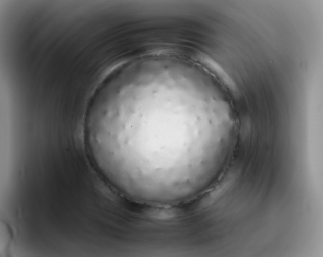 X0000092061417200709262019