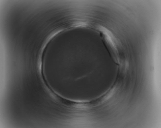 X0000092061418200709262019