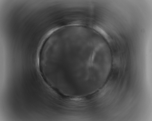 X0000092061419200709262019