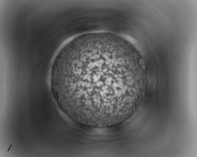 X0000092061421200709262019