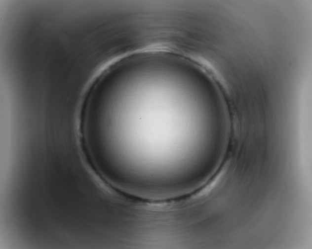 X0000092061422200709262019