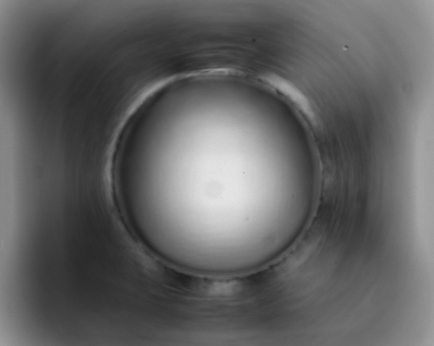 X0000092061423200709262019