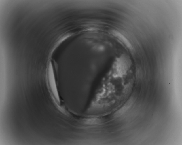 X0000092061425200709262019