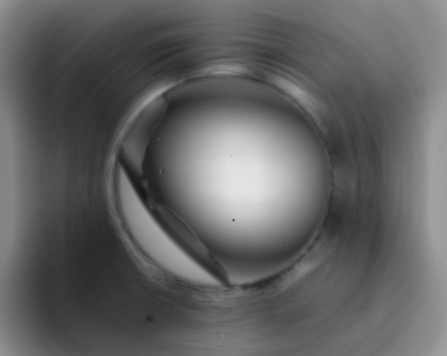 X0000092061426200709262019