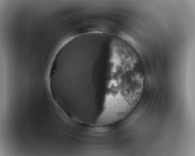 X0000092061427200709262019