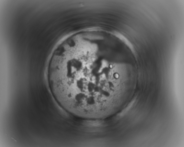 X0000092061429200709262019