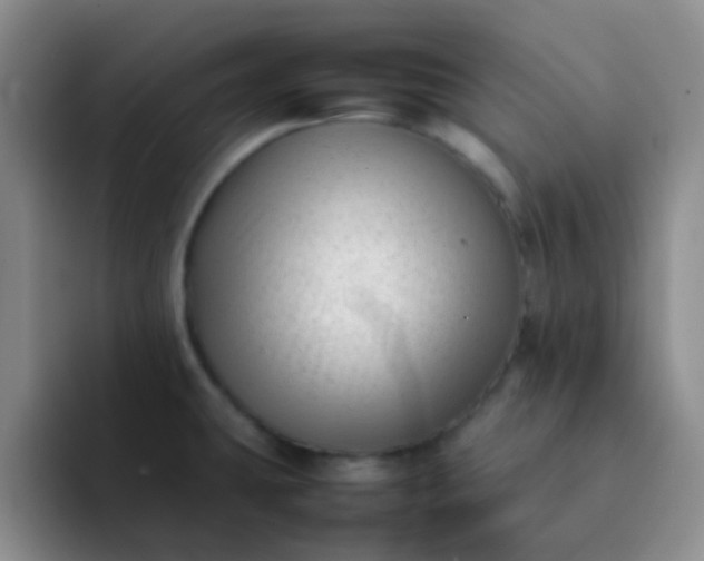 X0000092061431200709262019