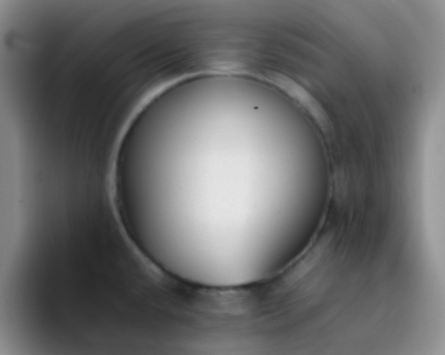 X0000092061432200709262019