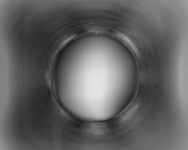 X0000092061433200709262019