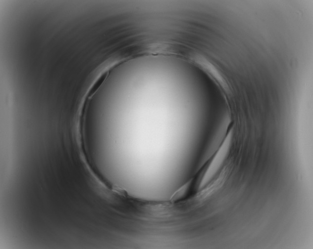 X0000092061434200709262019