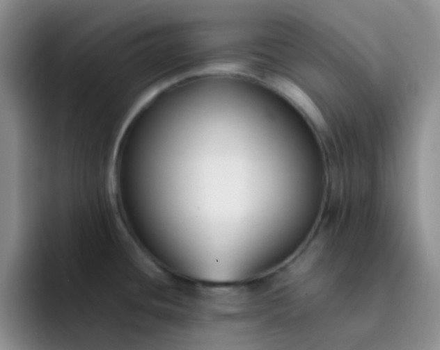 X0000092061436200709262020