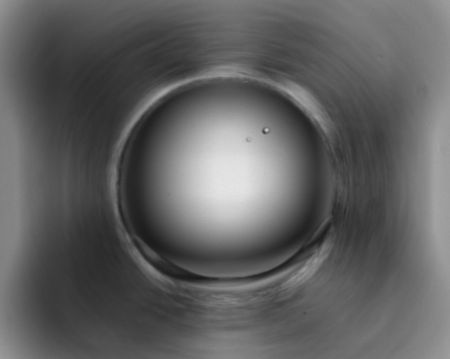 X0000092061438200709262020