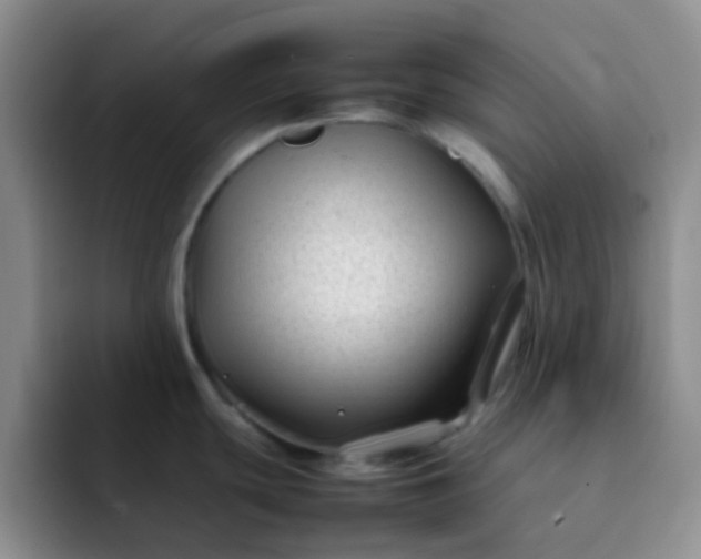 X0000092061439200709262020